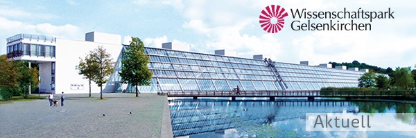 Header des Newsletters